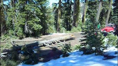Moving a fallen tree off the trail.