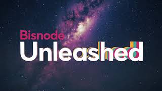 Bisnode Unleashed 2020 - Intro