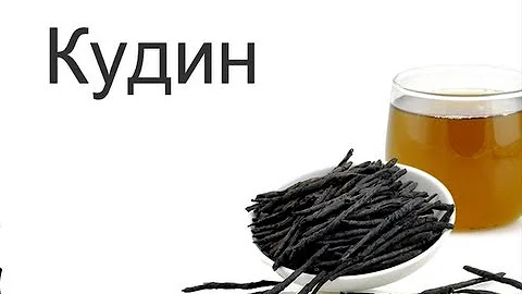 Как заваривать китайский чай Кудин 