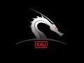 Kali linux знакомство, все что нужно знать о системе