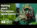 How to make Christmas decorations using plants | DIY Garden Projects | Gardening Australia