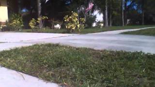 Ollie Grass gap