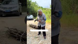 혼자 사는 할머니에게 먼저 다가가 도움을 준 착한 여성