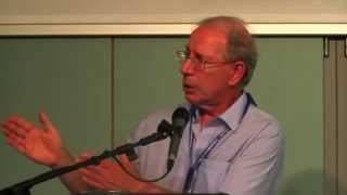 Raphael Kaplinsky: Not Whether, But How to Participate in the Global Economy