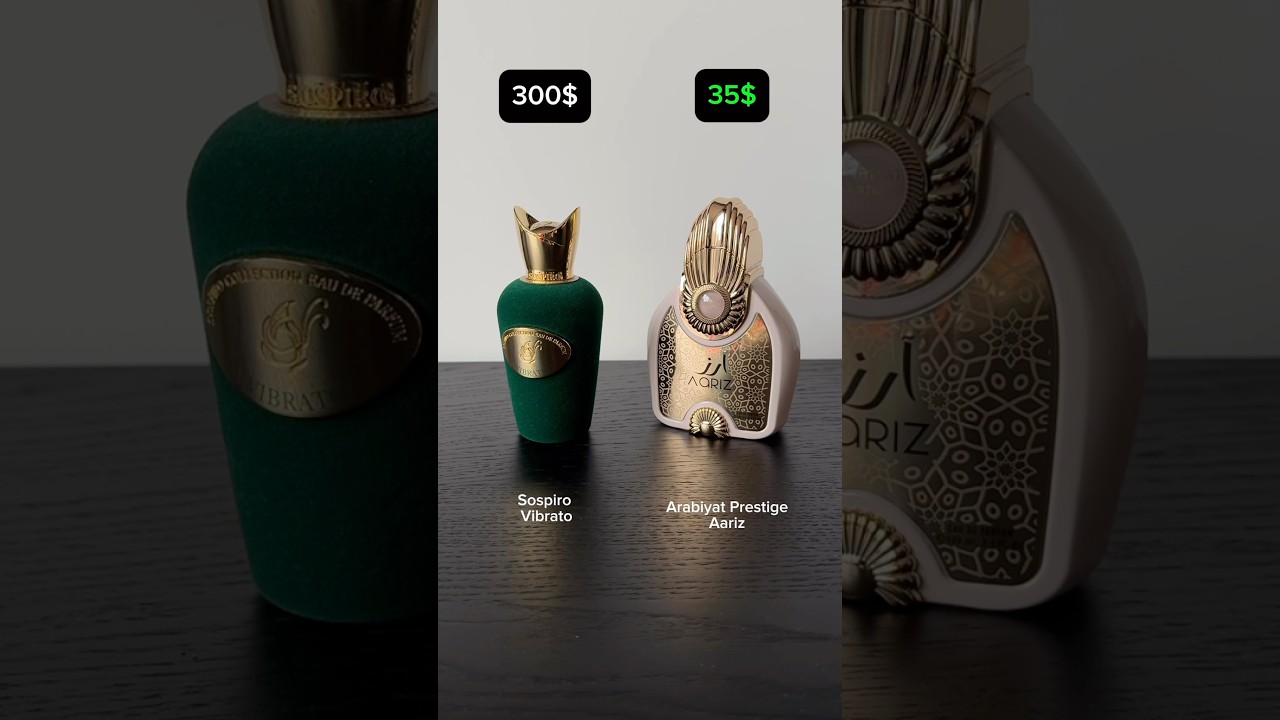 Expensive vs Affordable Fragrances – Are They Worth it? 💸