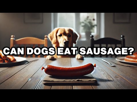 Can Dogs Eat Sausage Patties