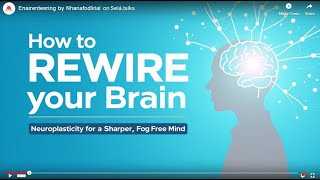 How to Rewire Your Brain: Neuroplasticity for a Sharper, Fog-Free Mind