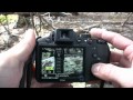 Nikon Coolpix P510 Review - Giant Zoom!