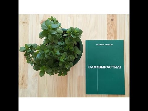 Книга "Сам вырастил!" теперь онлайн!