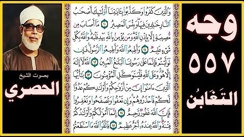 صفحة 557 - سورة التغابن - بصوت الحصري - والذين كفروا وكذبوا بآياتنا أولئك أصحاب النار خالدين فيها