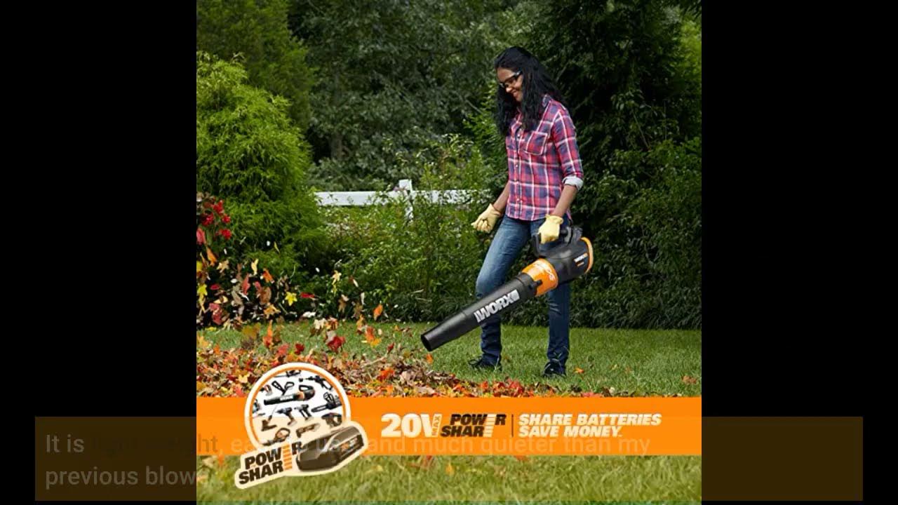 WORX WG546 TURBINE 20V PowerShare 2-Speed Cordless Battery-Powered Leaf