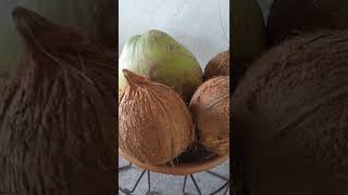 Côco, coco ou cocô? #youtubeshorts Côco, coco ou cocô? #youtubeshorts