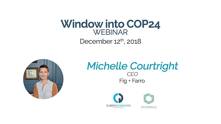 Window into COP24 Webinar: Michelle Courtright