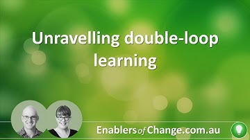 Unravelling double loop learning