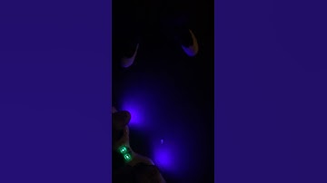 First time riding a hoverboard!!! 😆😆