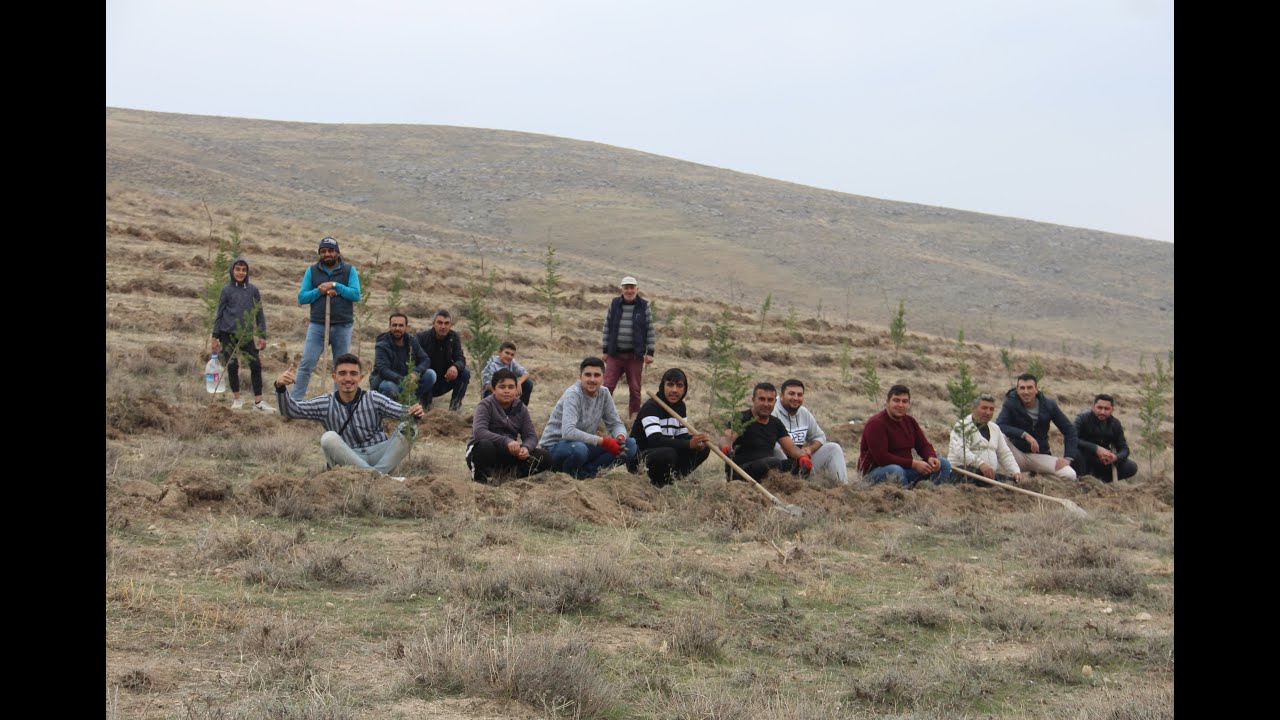 Ortakarabağ Köyü Ağaçlandırma Çalışması - 14 Kasım 2020