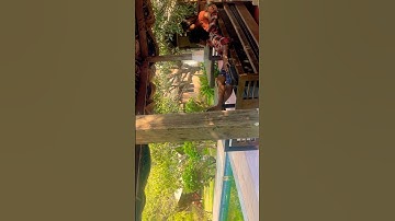 Aayul Varam ♥️….#karthiradhi #karthiksroute #love #lovelife #tamilshorts #tamil