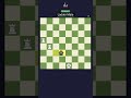 Ladder Mate - How to Checkmate! #chess #endgame #checkmate