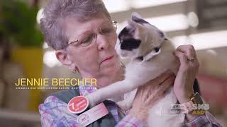 Ace Hardware Business Spotlight