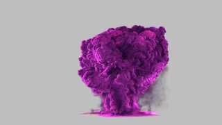 Purple Explosion