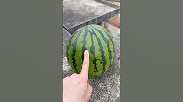 Experiment: Will watermelons and cantaloupes explode if they roll down from a tall building?🍉🍈