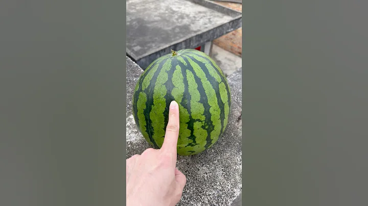 Experiment: Will watermelons and cantaloupes explode if they roll down from a tall building?🍉🍈