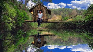 Survival Alone In The Forest In The Cold Winter | Build A House Hanging On A Fallen Tree Trunk.