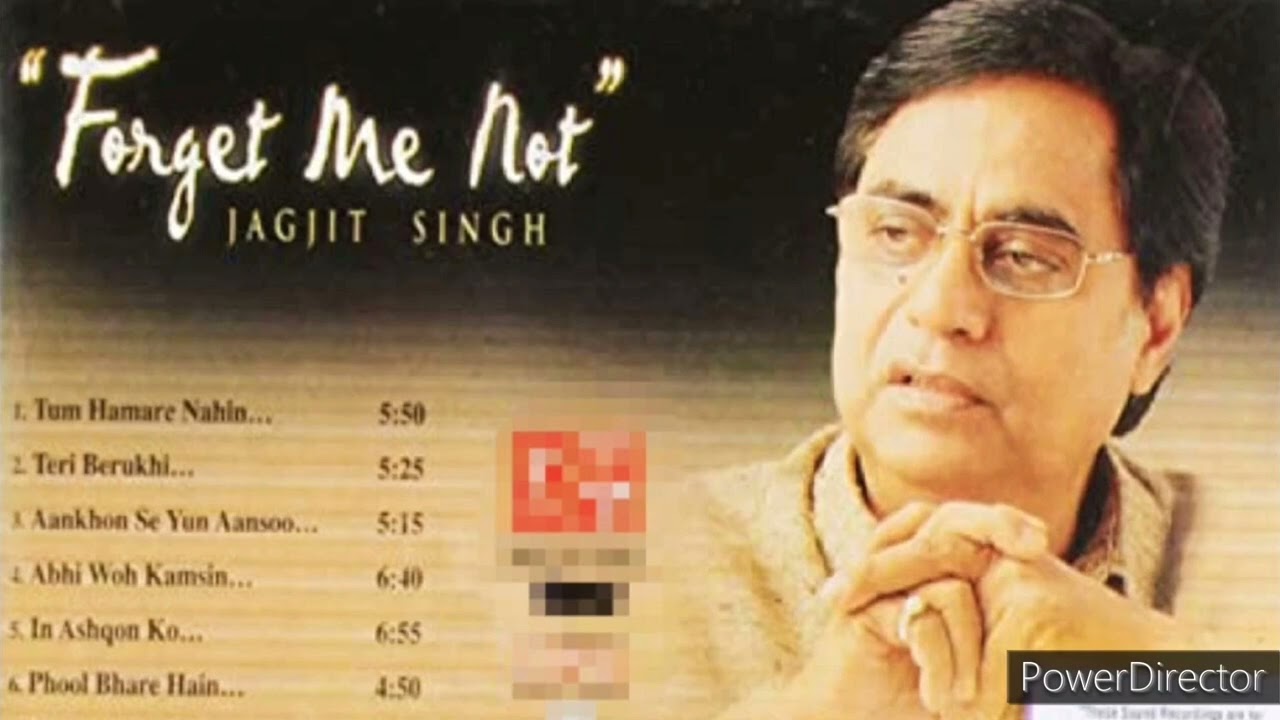 TUM HAMARE NAHIN JAGJIT SINGH