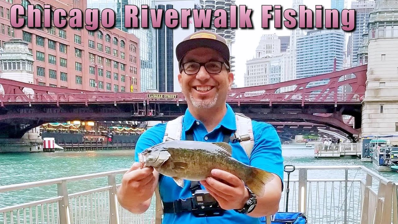 Chicago Riverwalk Bass Fishing Aug2021 YouTube