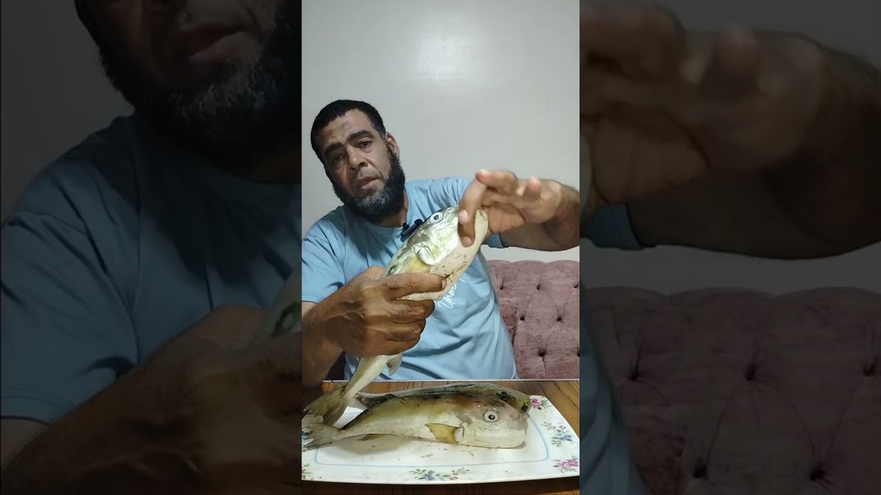 أخط.ر سمكة سا.مة . سمكة الأرنب