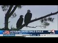 Army vet saves bald eagle