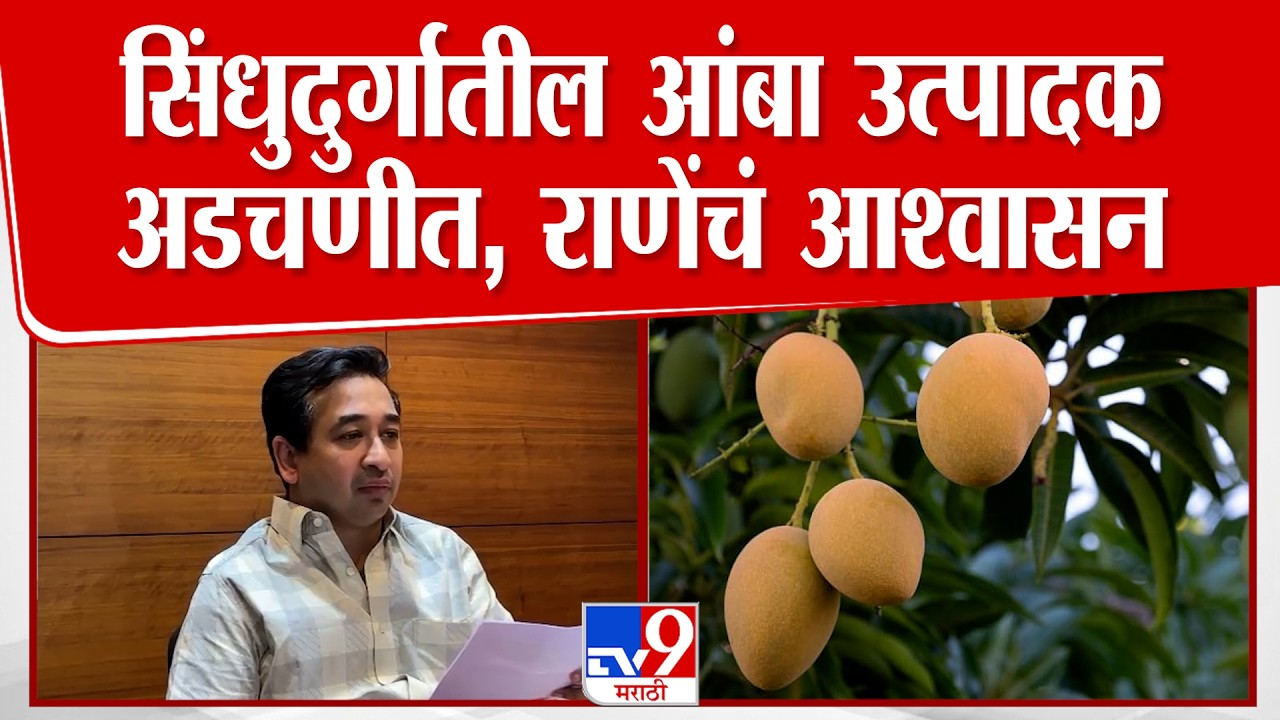 Nitesh Rane | Iran-America युद्धामुळे सिंधुदुर्गातील आंबा उत्पादक अडचणीत, राणेंकडून आश्वासन