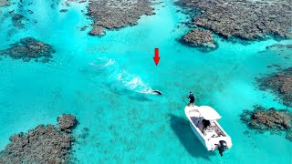 Great Barrier Reef Fishing in 1 foot of water!