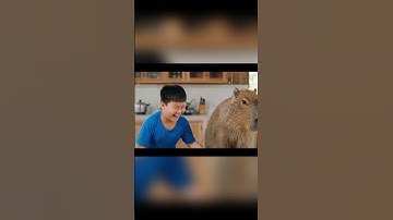 Nấu canh cá cho bà ngoại #veo3 #shortvideo #funny #capybara #capybaracommunity #animals