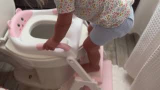Orzbow Potty Training Seat, 2 IN 1 Toddler Potty Training Toilet with Step Stool Review