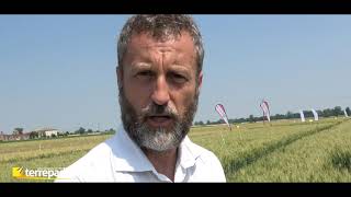 Terrepadane Vetrina Cereali 2021 - Le Sementi Limagrain