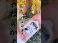 ぅわーーーーーーー#ごっちゃん #小銭#小銭界隈