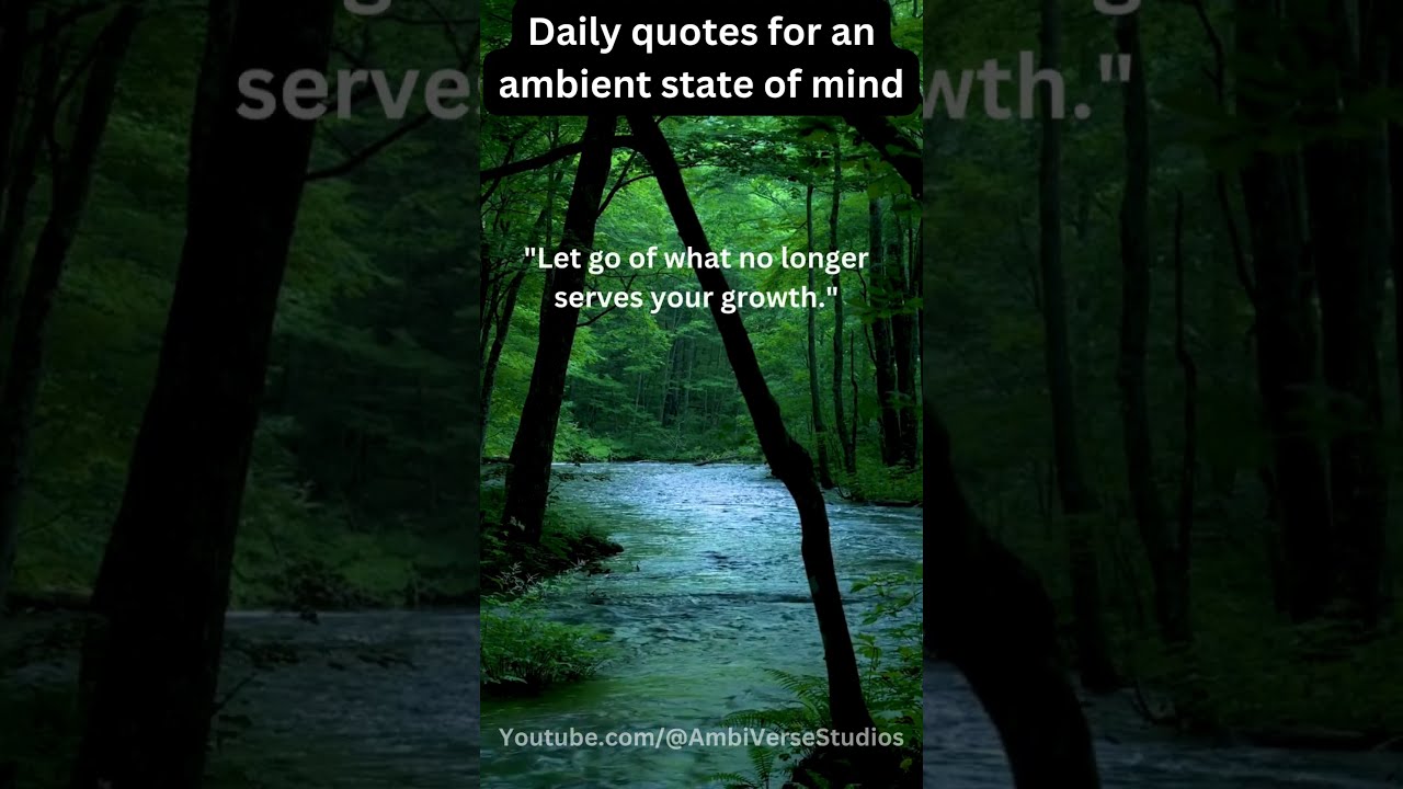 Daily Quotes For An Ambient State Of Mind 7
