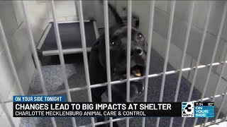 Changes at Charlotte Mecklenburg Animal Care Control lead to big impact