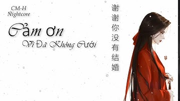 [Vietsub & Pinyin] Cảm Ơn Vì Đã Không Cưới - 谢谢你没有结婚