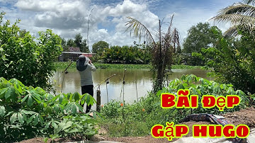 Câu Cá Tra Sông - Gặp Bãi Cá Khủng Lộn Thấy Mê Cục Mồi Đầu Tiên Lụm Hugo Liền | Fishing Miền Tây