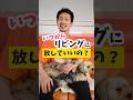 犬はいつからリビングに放していいの？#犬のいる暮らし#dog #shorts