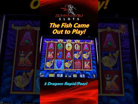 The Fish Came Out to Play! BIG WINs in 5 Dragons Rapid and Pearl #shinobislots #shorts #shortfeed