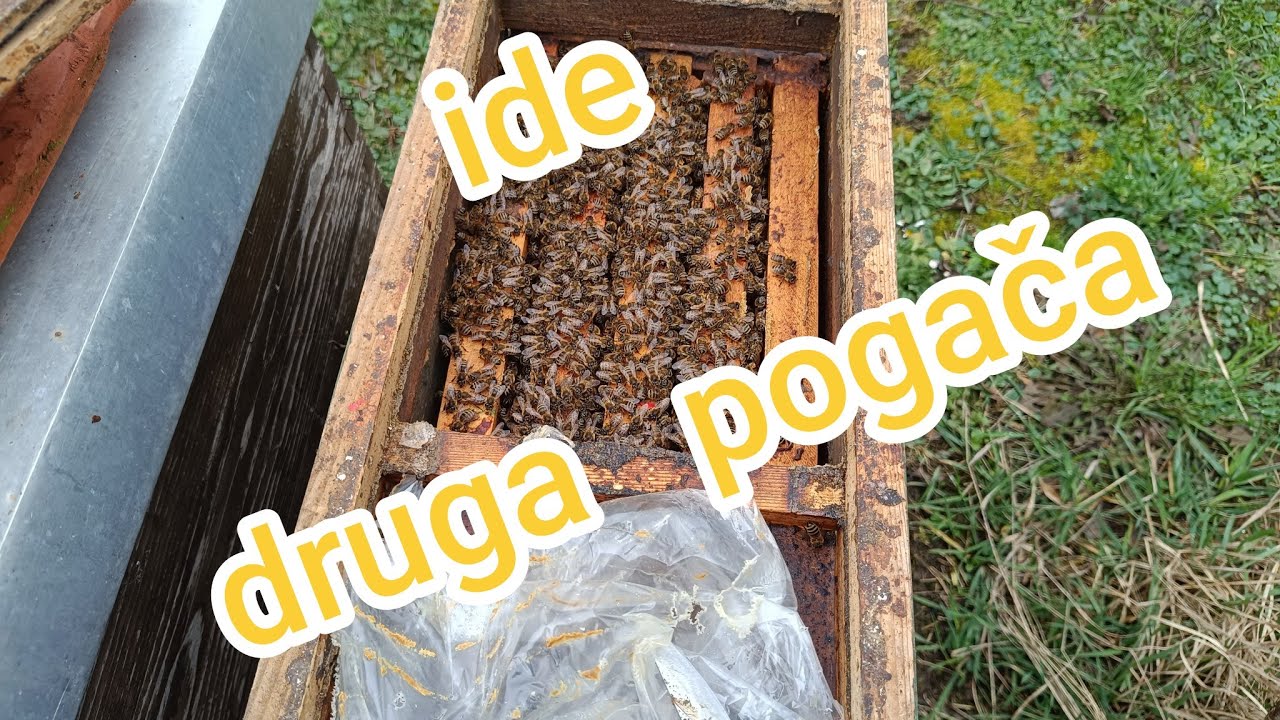 Ide druga pogača, sanacija loših postolja košnica