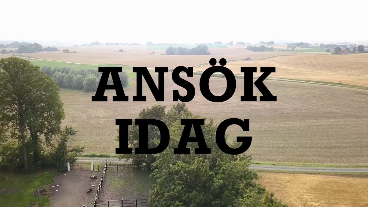 Tobbe Camp YouTube Edition | Episode 7