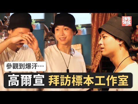 高爾宣拜訪標本工作室竟爆汗？完整故事請看【公視 誰來晚餐 我愛標本又怎樣】