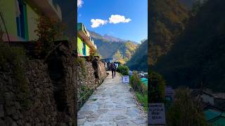 Walking past a beautiful Uttarakhand Village #shorts