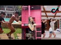 Teach Me How To Dougie.. Dance Tiktok Compilation.. Trending Videos..