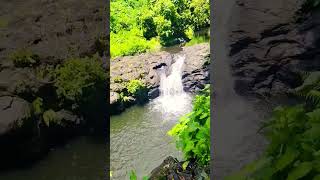 it's a heaven.....savaii island 🏝️