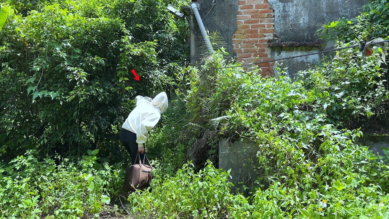 Учительница математики купила старый дом, полный травы, и прибрала его, удивив всех